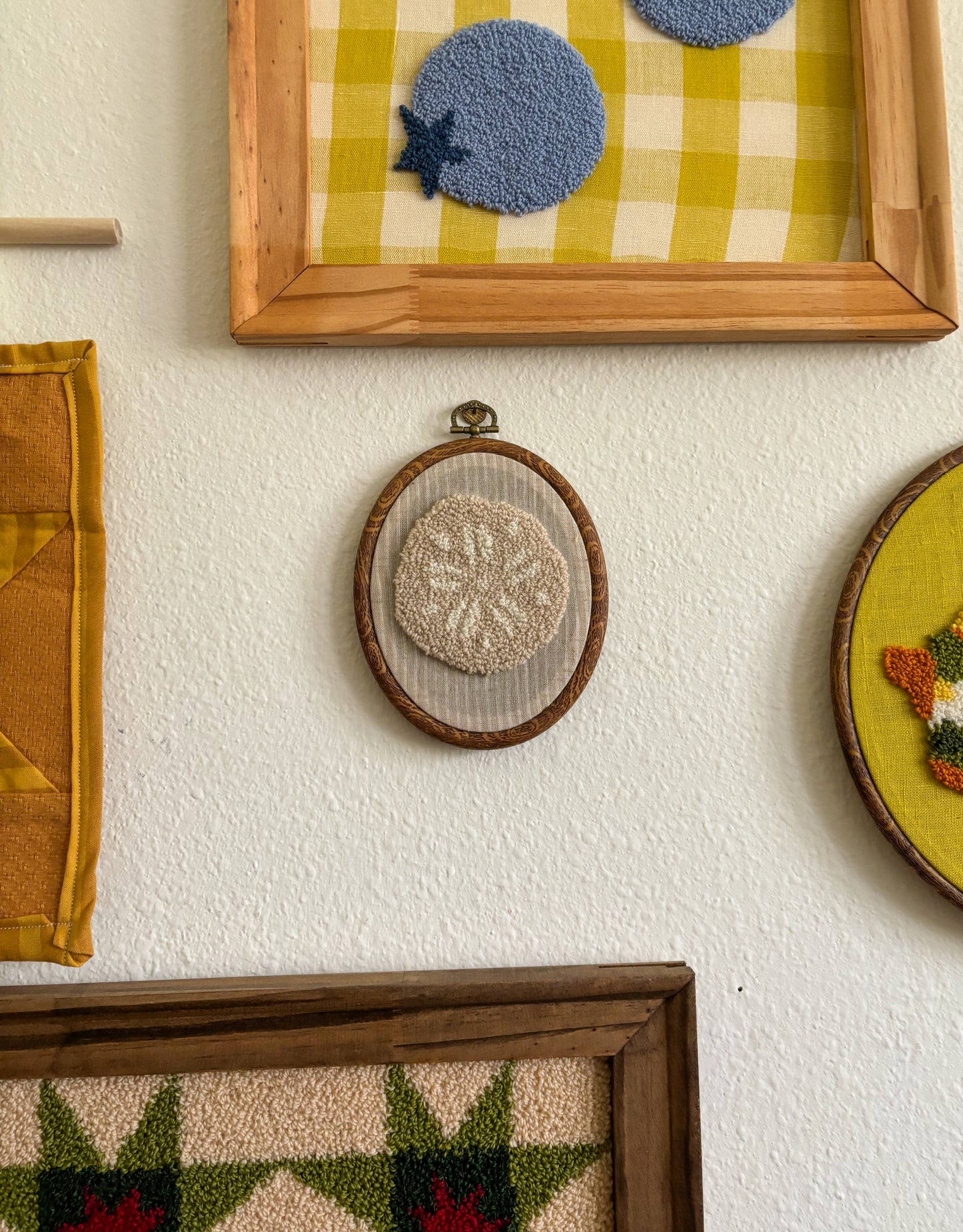 Sand Dollar on Neutral Stripes