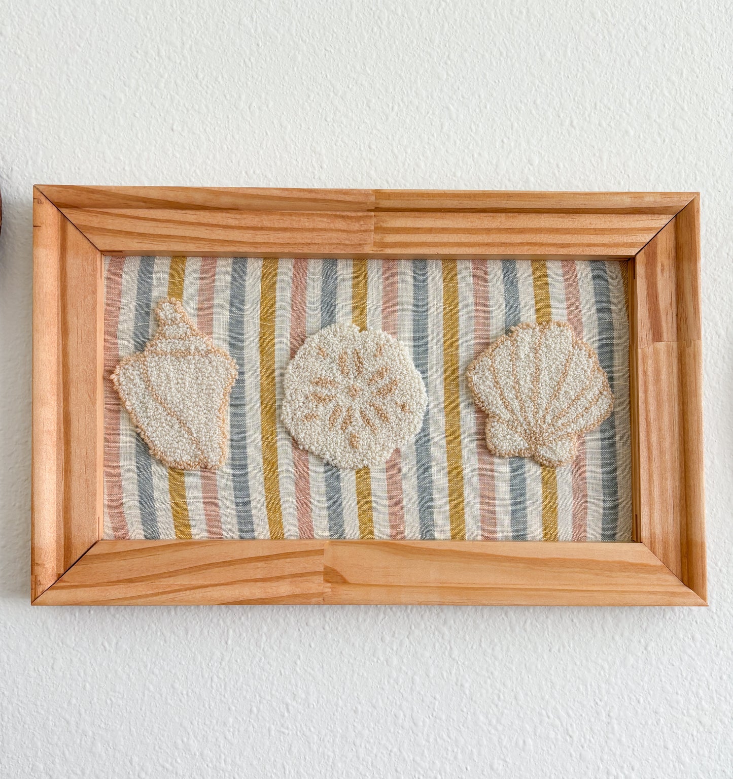 A Trio of Shells