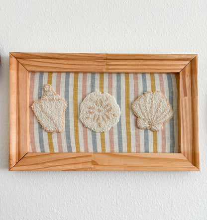 A Trio of Shells