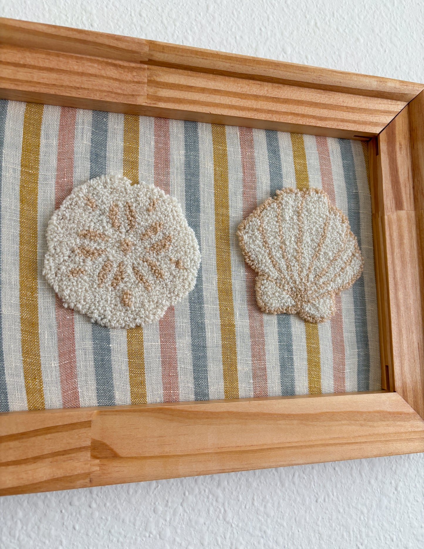 A Trio of Shells
