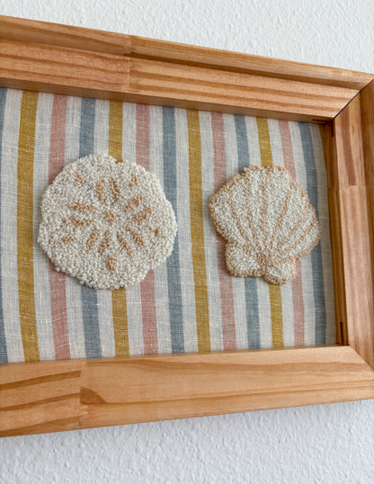 A Trio of Shells