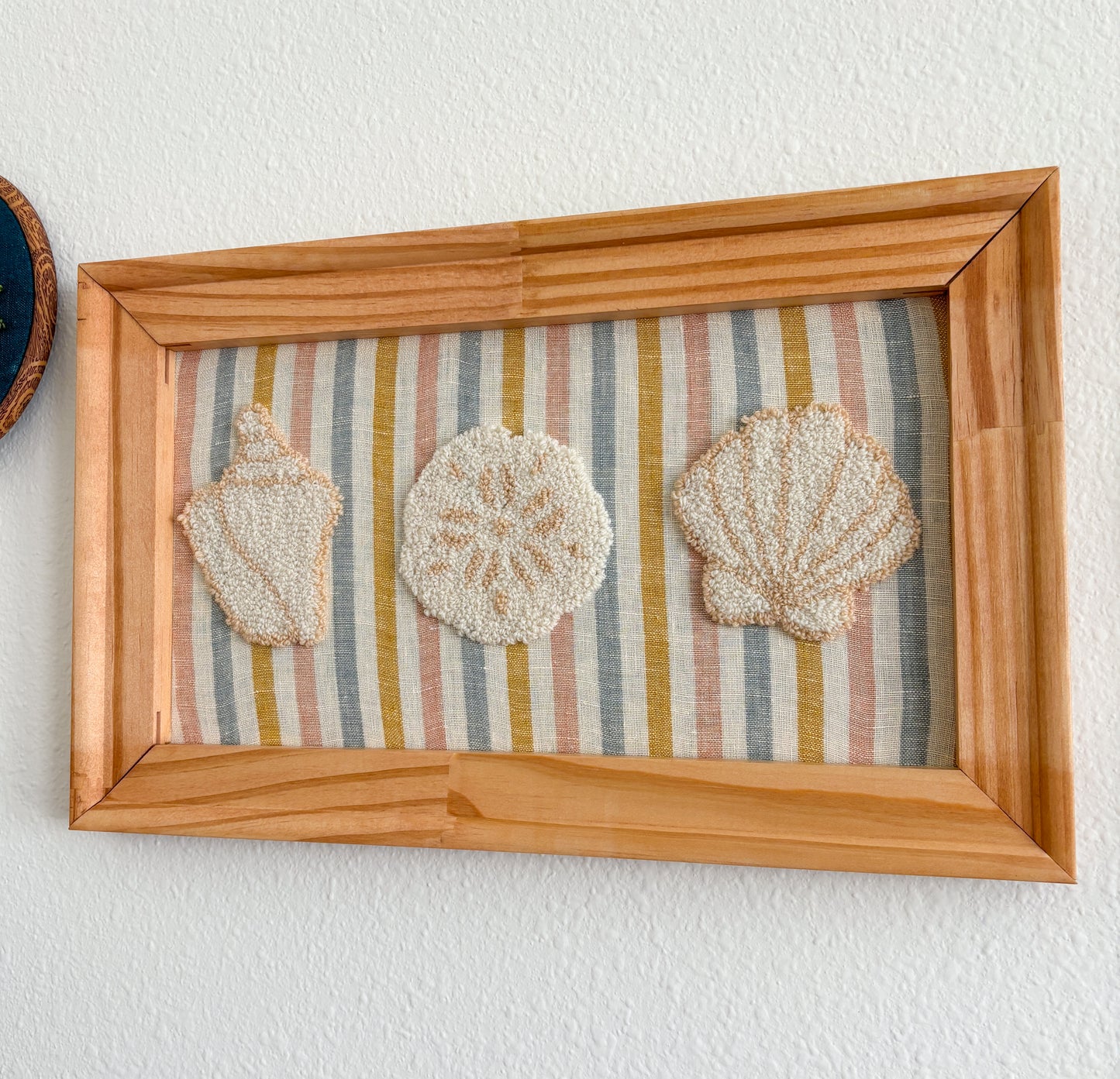 A Trio of Shells