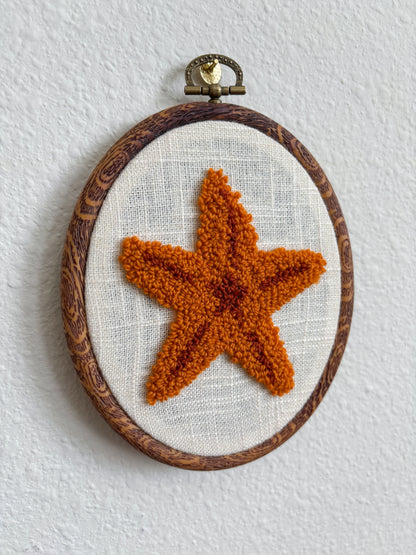 Starfish on White