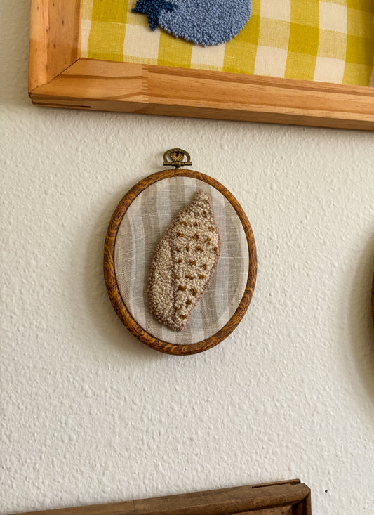 Junonia Seashell