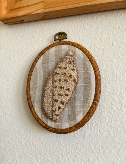 Junonia Seashell