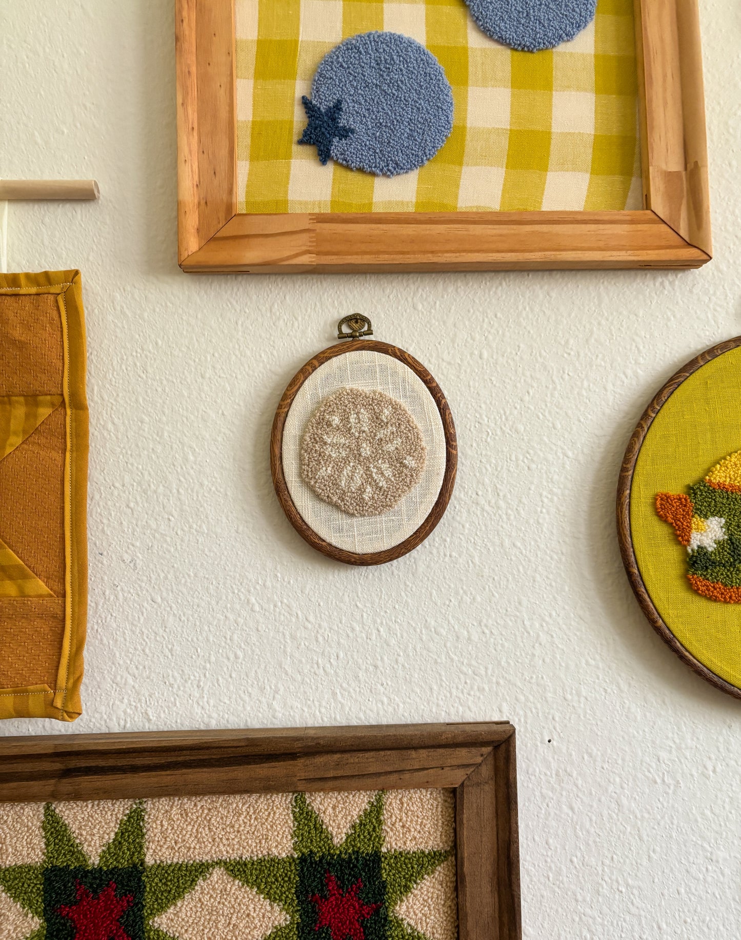 Sand Dollar on White