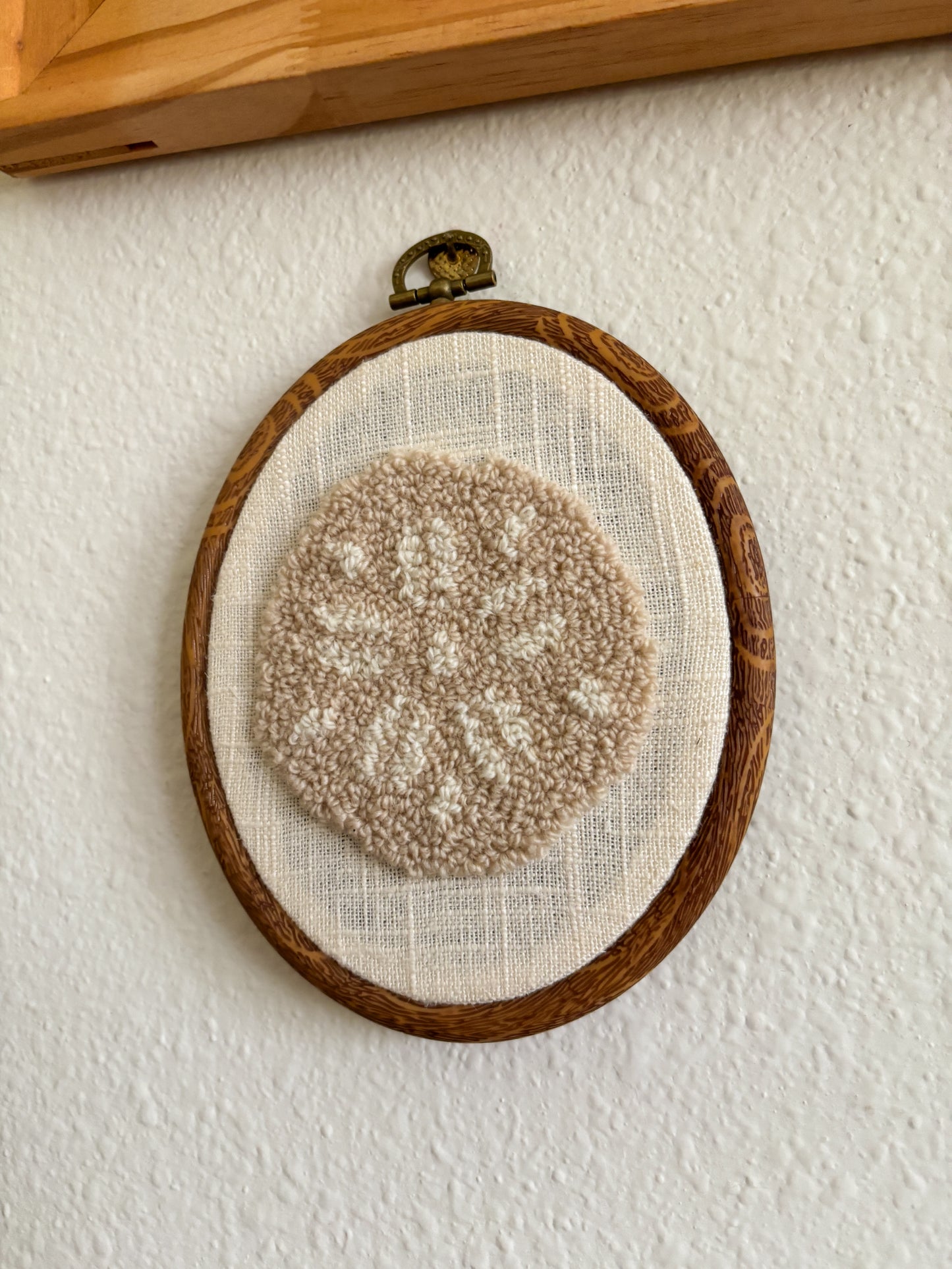 Sand Dollar on White