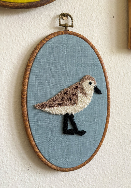 Sandpiper on Blue